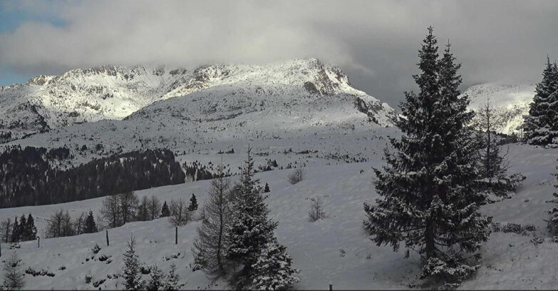 Webcam Сан-Мартино-ди-Кастроцца - Пассо-Ролле - Passo Rolle - Bocche