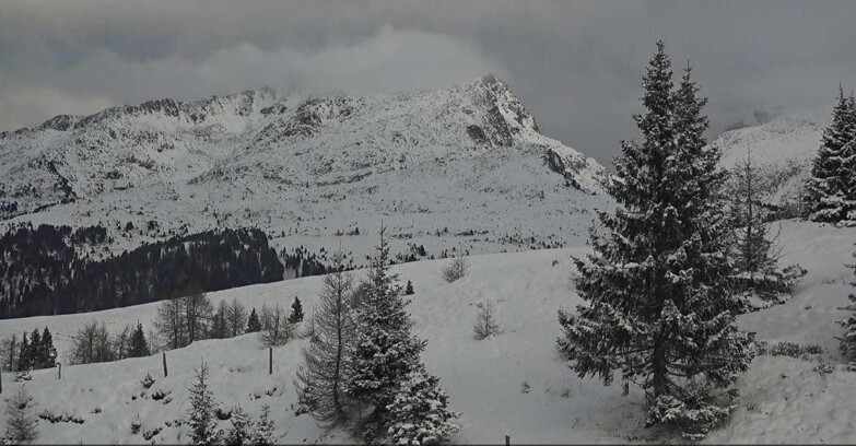 Webcam Сан-Мартино-ди-Кастроцца - Пассо-Ролле - Passo Rolle - Bocche