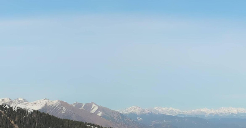 Webcam Madonna di Campiglio (Skiarea Campiglio Dolomiti di Brenta - Val di Sole Val Rendena) - Area Grostè