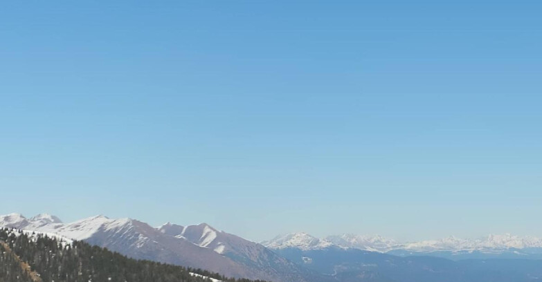 Webcam Madonna di Campiglio (Skiarea Campiglio Dolomiti di Brenta - Val di Sole Val Rendena) - Area Grostè