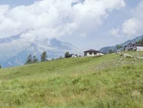 Albe in Malga - Malga Stabolone