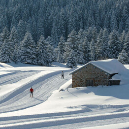 sci-di-fondo-a-passo-coe